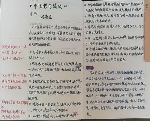 图4 图4