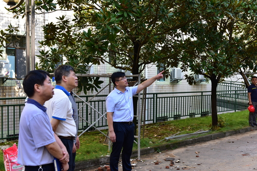 QQ图片20200728170826