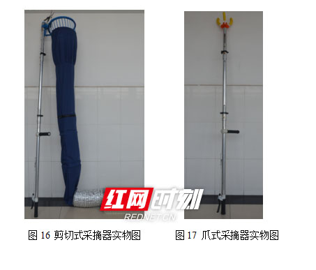 同花顺在线开户大学生研发“摘果神器”